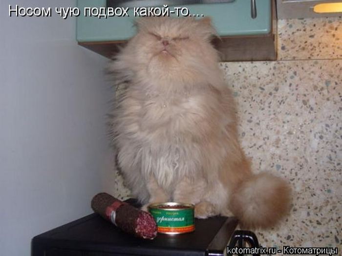 VFL.RU -  