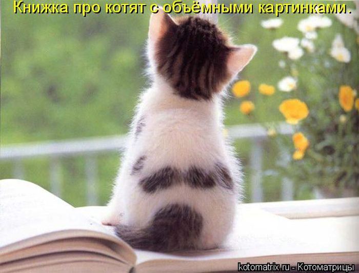 VFL.RU -  