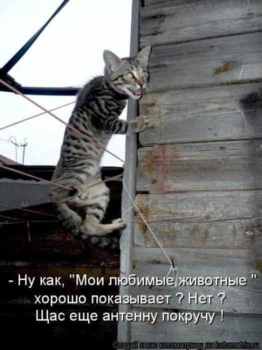VFL.RU -  