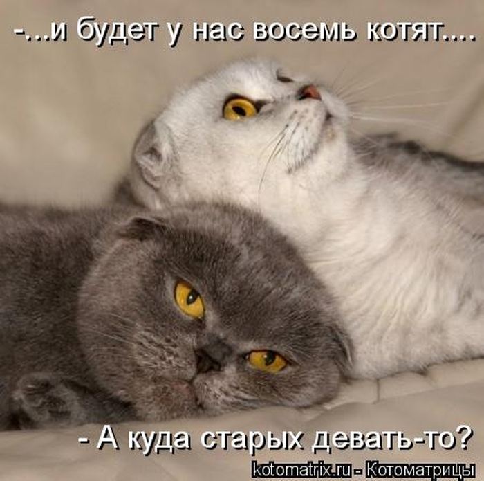 VFL.RU -  