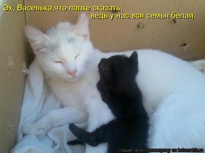 VFL.RU -  