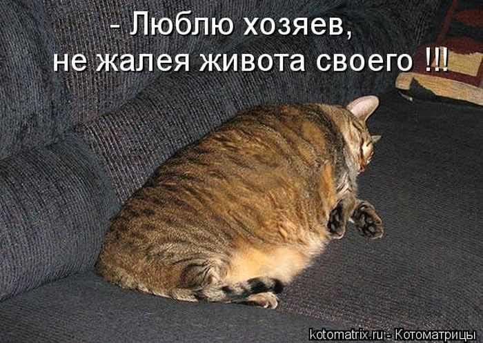 VFL.RU -  