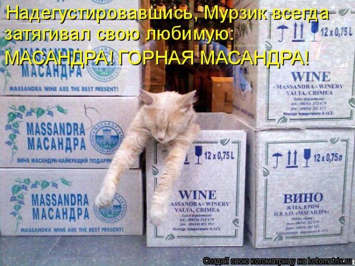 VFL.RU -  