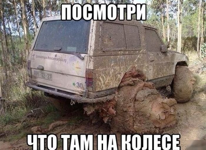 VFL.RU -  