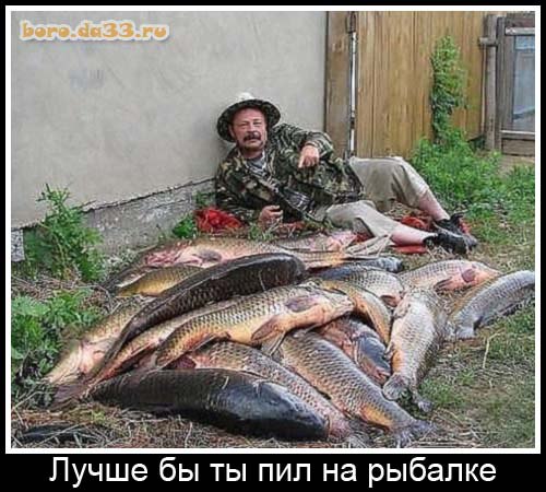 VFL.RU -  