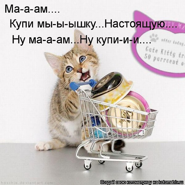 VFL.RU -  
