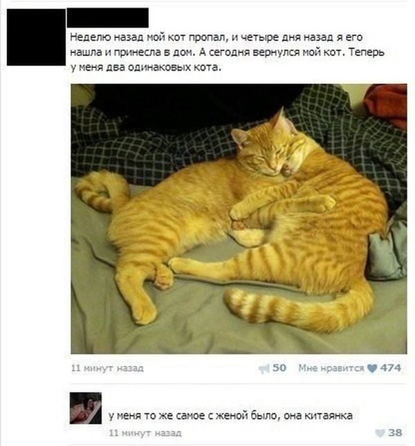 VFL.RU -  
