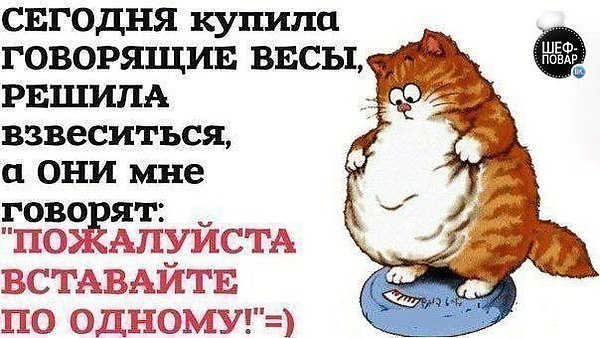 VFL.RU -  