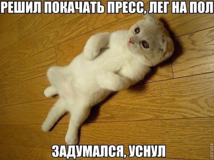 VFL.RU -  