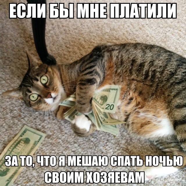 VFL.RU -  