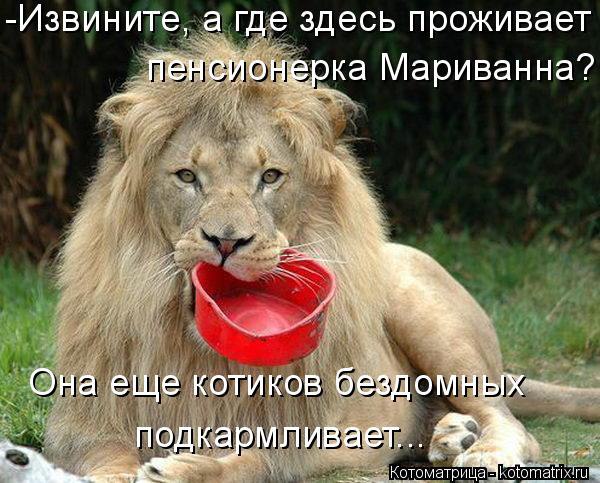 VFL.RU -  