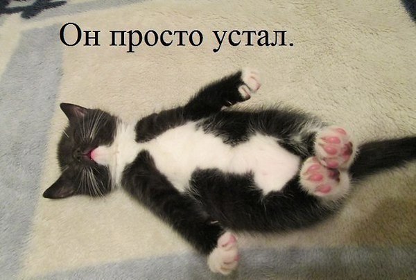 VFL.RU -  