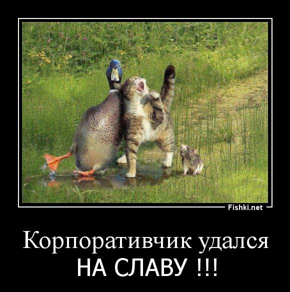VFL.RU -  