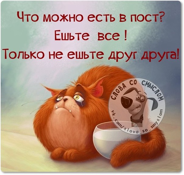 VFL.RU -  