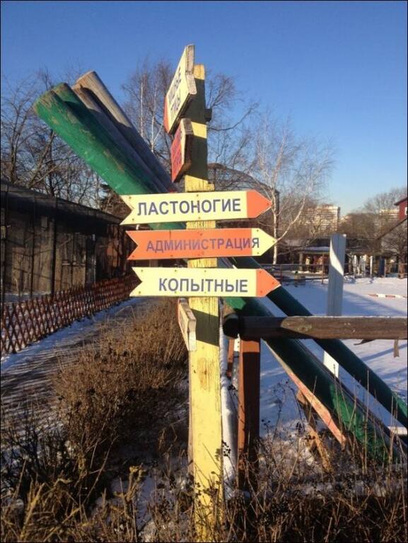VFL.RU -  