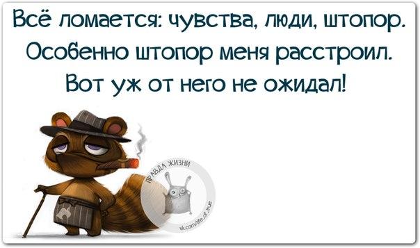 VFL.RU -  