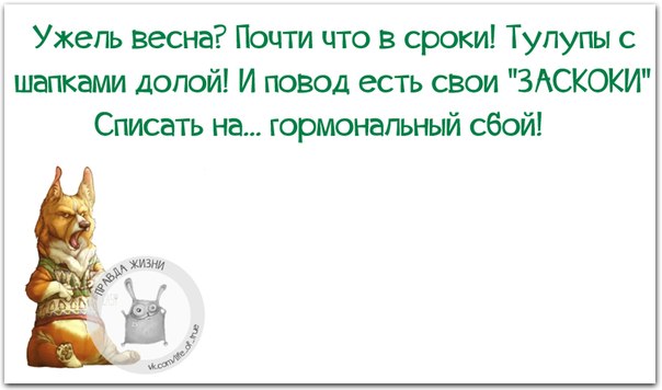 VFL.RU -  