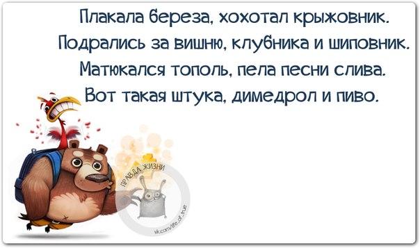VFL.RU -  
