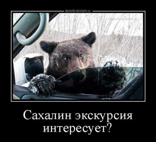 VFL.RU -  