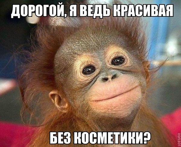 VFL.RU -  