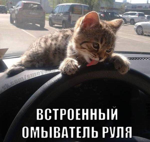 VFL.RU -  