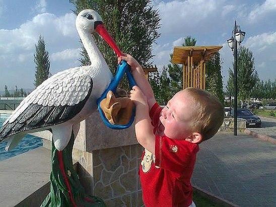 VFL.RU -  