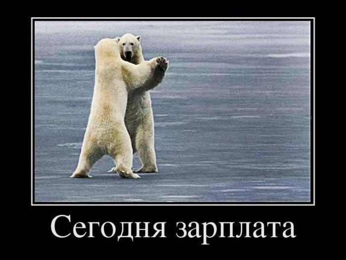 VFL.RU -  