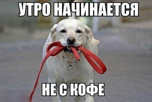 VFL.RU -  