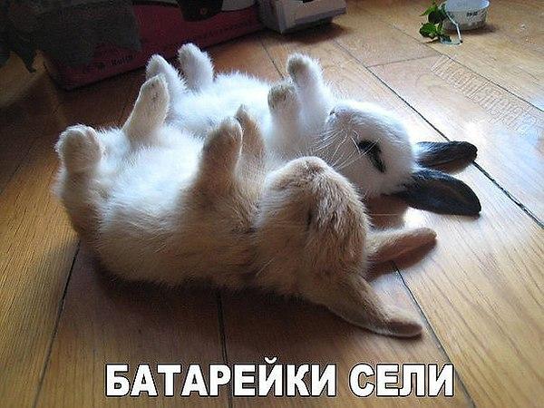 VFL.RU -  