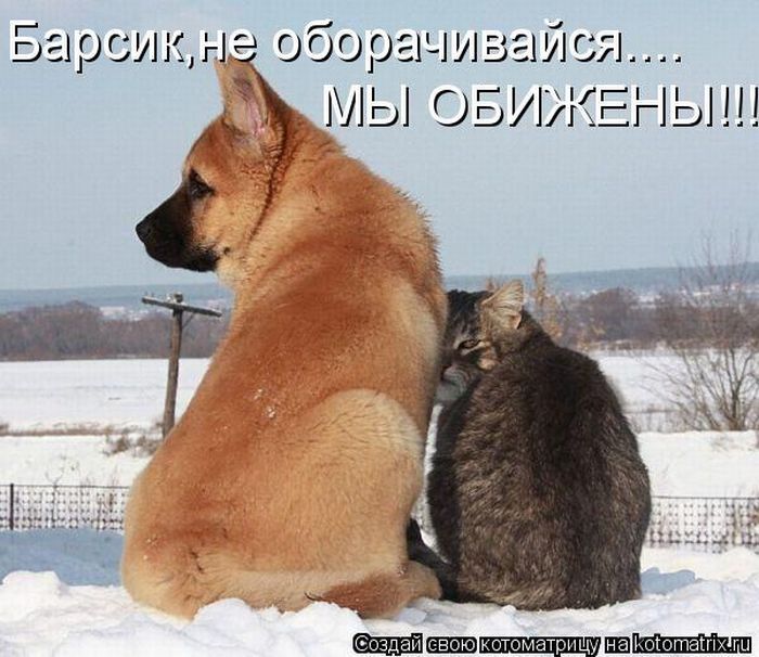 VFL.RU -  