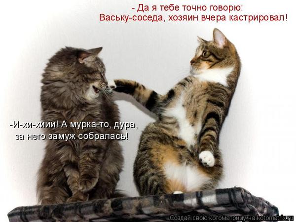 VFL.RU -  