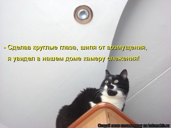 VFL.RU -  