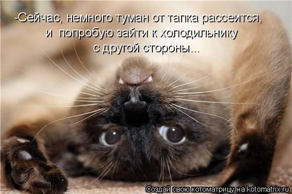 VFL.RU -  