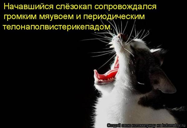VFL.RU -  