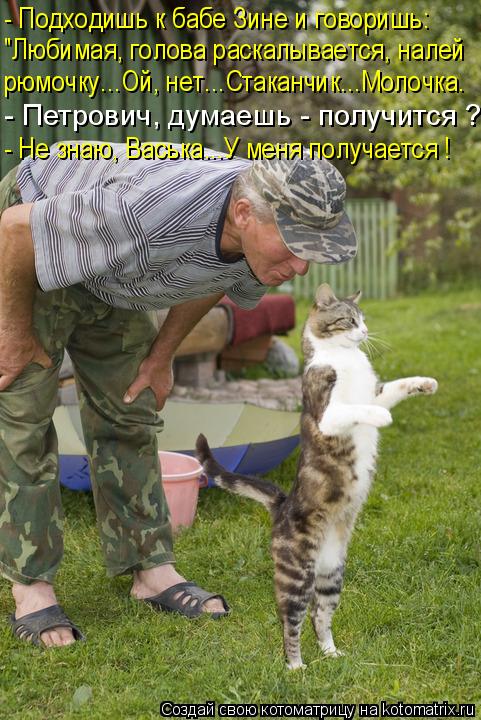 VFL.RU -  