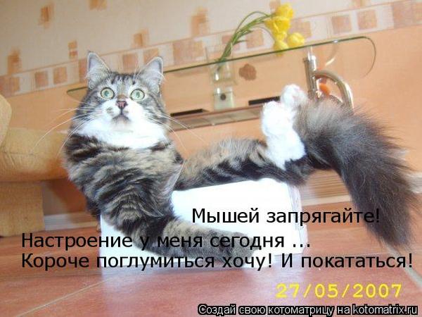VFL.RU -  