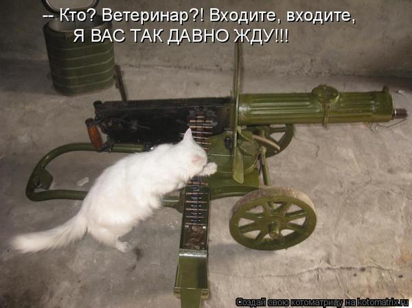 VFL.RU -  