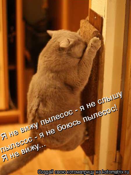 VFL.RU -  