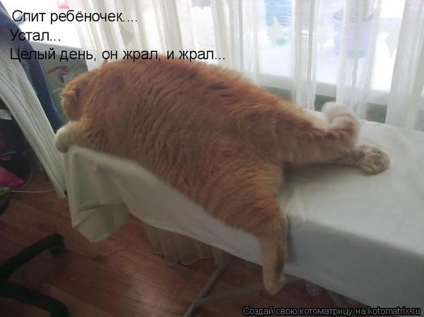 VFL.RU -  