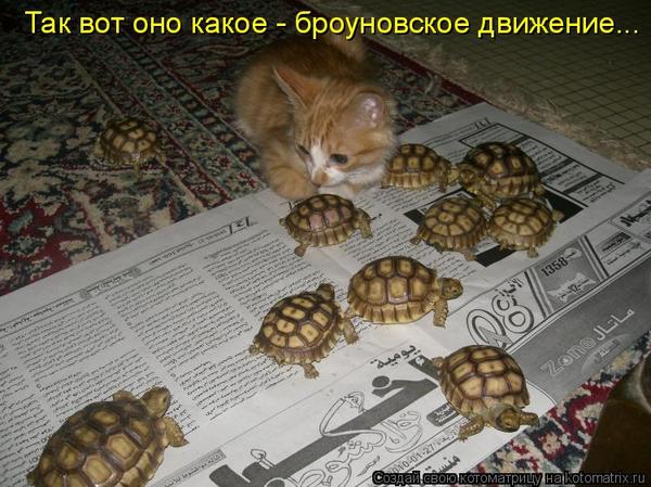 VFL.RU -  