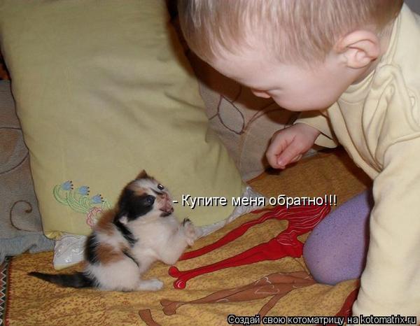 VFL.RU -  
