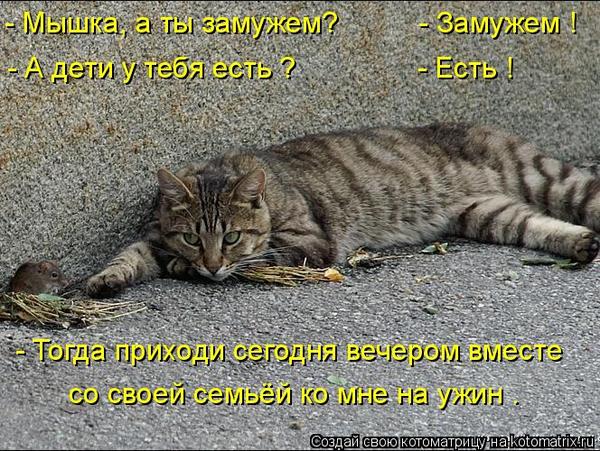 VFL.RU -  
