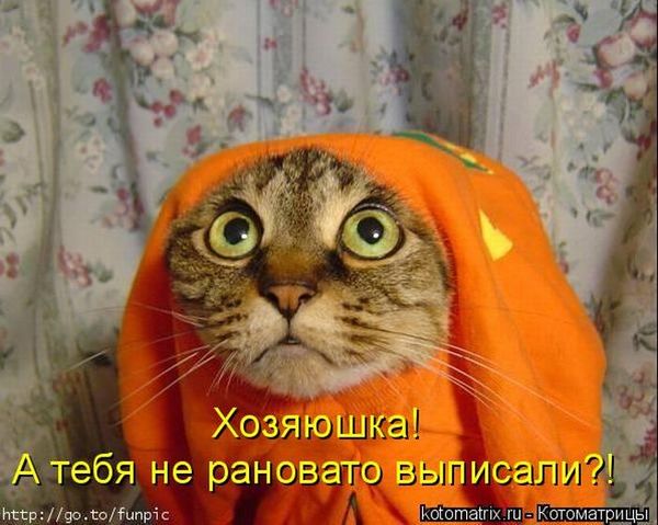 VFL.RU -  