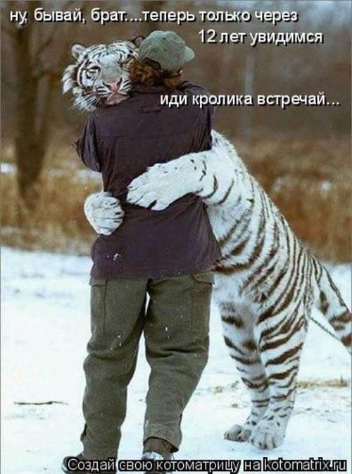 VFL.RU -  