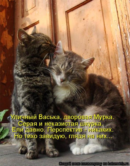 VFL.RU -  