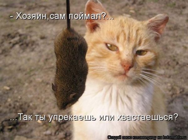VFL.RU -  