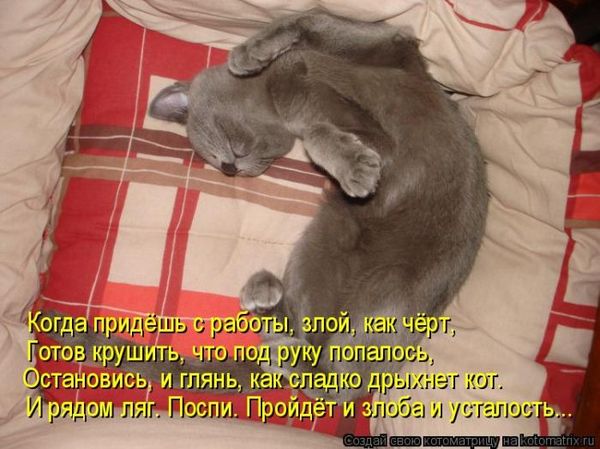 VFL.RU -  