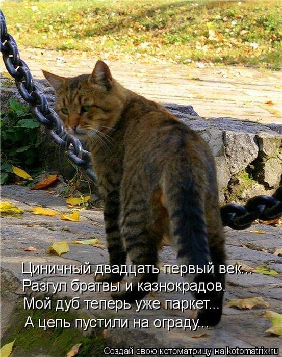 VFL.RU -  