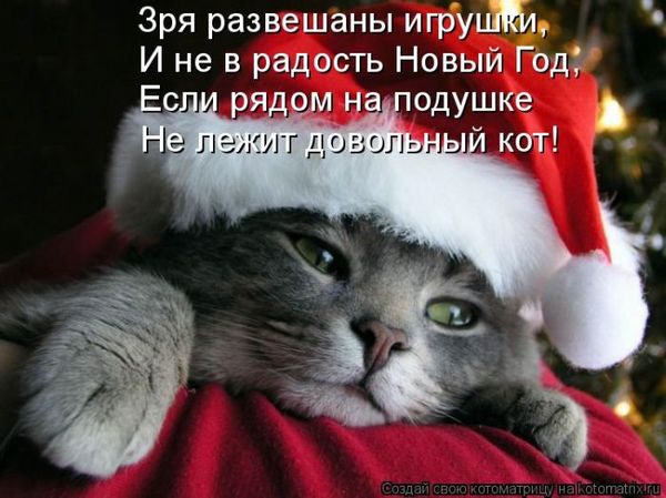 VFL.RU -  