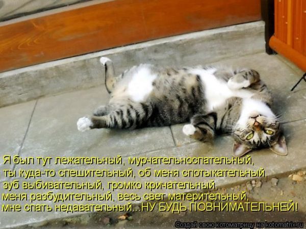 VFL.RU -  